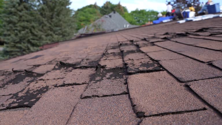 Best Gutter Installation and Repair  in South Pasadena, CA
