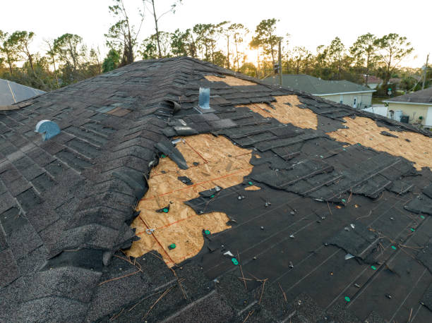 Best Metal Roofing Installation  in South Pasadena, CA
